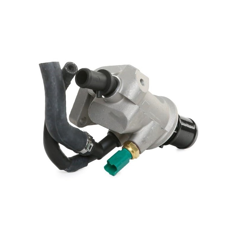 RIDEX Thermostat + Housing, Metal Housing + Gaskets