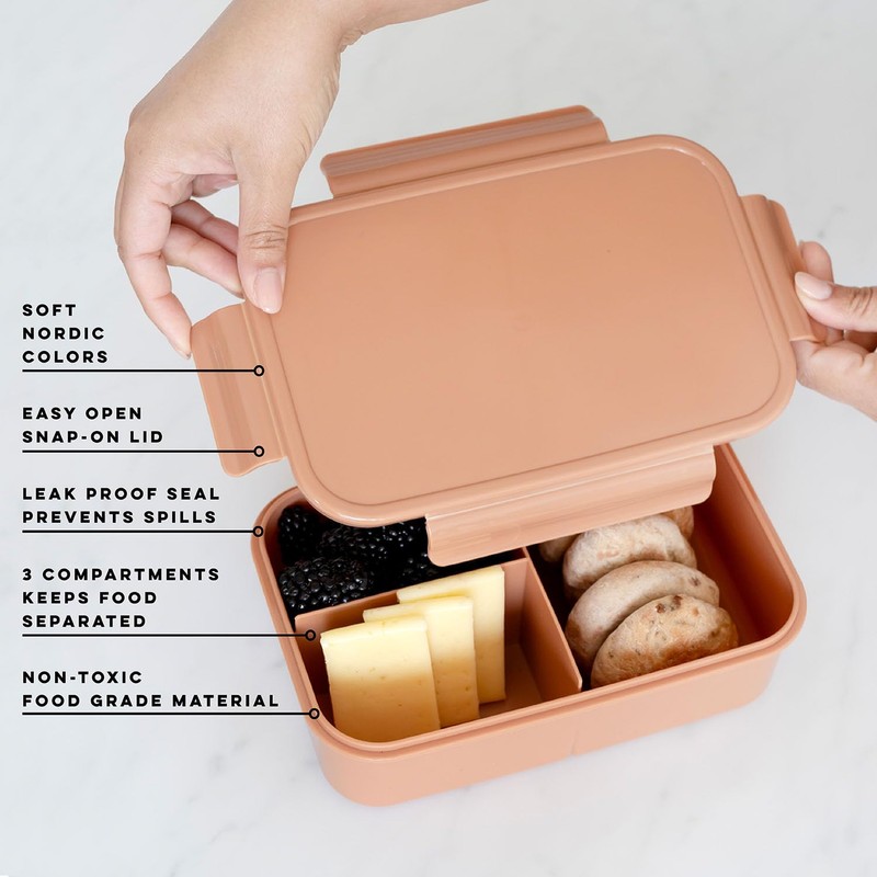 3 Sprouts - Bento Box for Children - Lunch Box