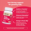 Renzo Iron Strong Suplemento Hierro Niños Vitamina Sabor Naranja Tabletas