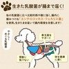 犬猫用 乳酸菌 サプリ ペットの健康維持 腸活・消化サポート すっきりした毎日を応援【公式】うちのこケア スッキリの喜び （生きた乳酸菌で愛犬愛猫の健康維持）【国産・大容量:90g】