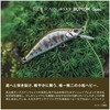 Shimano ZN-245X 006 Trout Lure, Cardiff Refline, 45XS Bottom Specs,