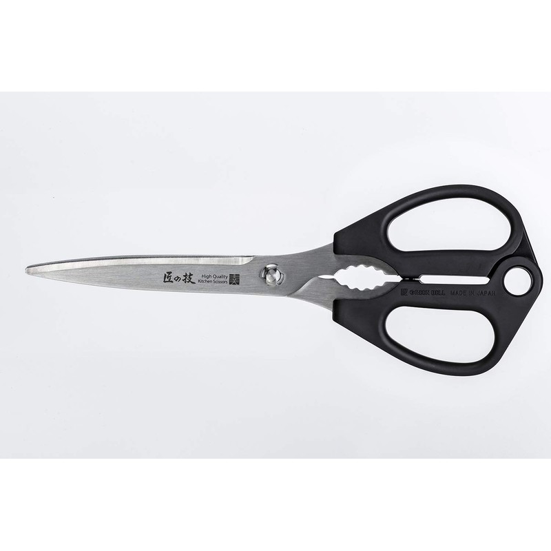 Takumi no Kikatsu Stainless Steel Kitchen Scissors Long Type G-2033
