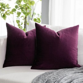 QUAFOO Eggplant Purple Soft Velvet Throw Pillow Covers 16x16 inch Set of 2 for Sofa Couch Bed Living Room Decorative Luxury Solid Square Cushion Covers Case with Zipper