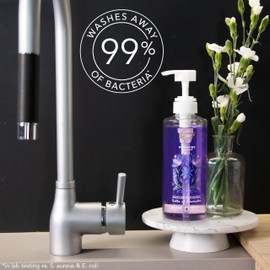 Safeguard Safeguard Hydrating Liquid Hand Soap, Lavender Scent, Made with Plant Based Cleansers, 15.5 oz (Pack of 4)