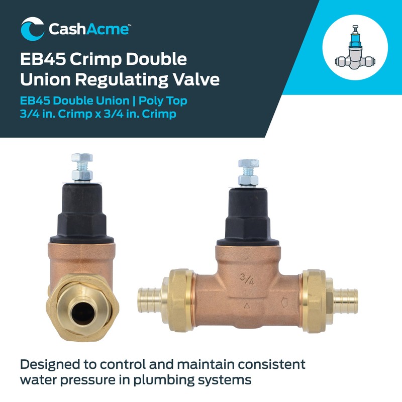 Cash Acme EB45 Pressure Regulating Valve, Double Union, 3/4 Inch