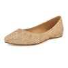 Nine West Women's Flats, Light Natural/Rose Gold 111, 6.5