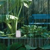 AcuRite Wireless Rain Gauge Collector , White - 06034RM