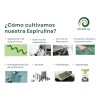 Alga Spirulina Máxima Orgánica 500 Tab Certificada Original