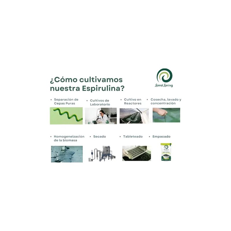 Alga Spirulina Máxima Orgánica 500 Tab Certificada Original