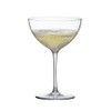 RONA Champagne Saucer Glass | Set of 6 | 12
