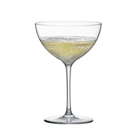 RONA Champagne Saucer Glass | Set of 6 | 12 oz. |