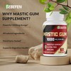 Mastic Gum 1000 mg Supplement - Dietary Supplement for Supports
