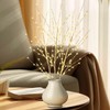 Lighted Birch Branches Plug in with Timer 33IN 180 LED
