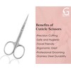Nail Scissors Curved - Professional Stainless Steel Grooming scissors for