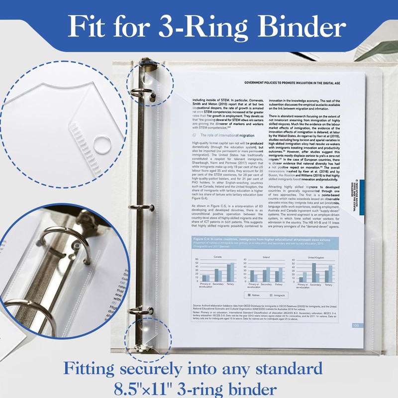 50 Pack Clear Slash File Jackets with 3 Holes, Letter