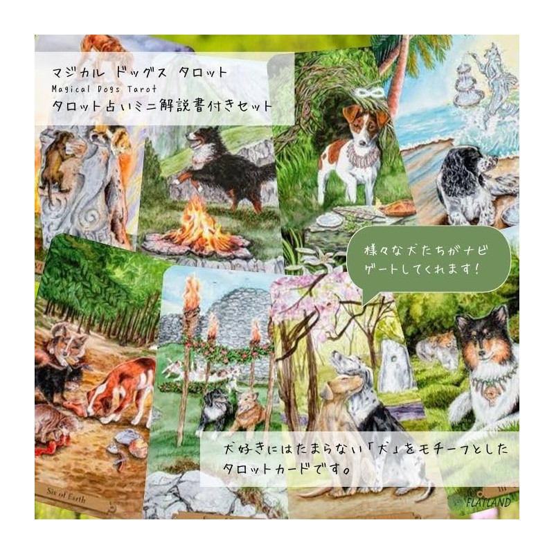 Magical Dogs Tarot [Special Box] [With Tarot Divination Manual]