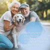 BELABB® Giardien Quick Test for Dogs and Cats, 3 Tests