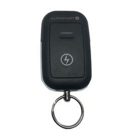 Directed Electronics ASDS2110 Autostart Remote 1-Button LED 2- Way Remote Compatible with DS4/DS4+