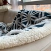 LOMAO Sherpa Fleece Blanket Fuzzy Soft Throw Blanket Dual Sided