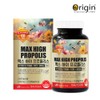 Origin Max High Propolis 600mg 100 capsules / 오리진 맥스 하이 프로폴리스 600mg x 100캡슐