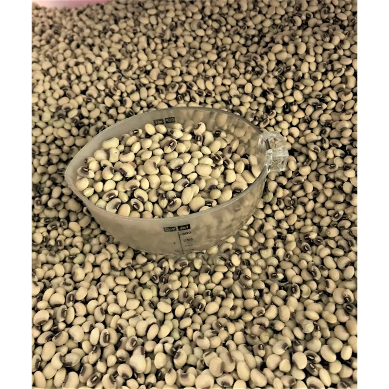 Wax & Top Notch TOP PICK Pinkeye Purple Hull Peas