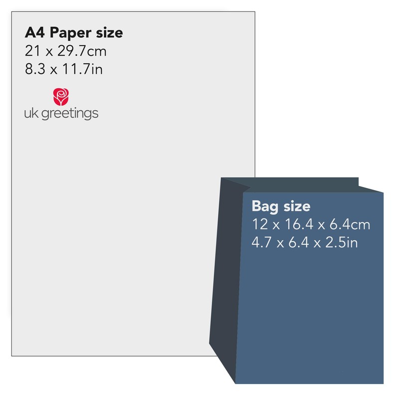 UK Greetings Small Gift Bag for Him/Her/Friend - For Birthdays,