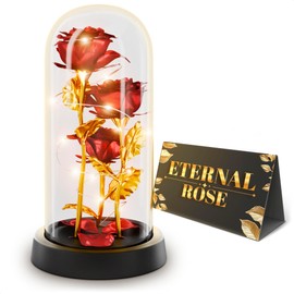 Rose in Glass Dome – Beautiful Glass Rose Flower Lights, for Women, Gifts for Mom, Valentine's Day, Mother's Day, Women's Day – Elegant Home Decor | Flowers Roses with LED Light