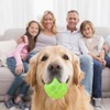 Pack of 8 Glow In The Dark Dog Balls, Squeaky