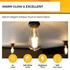 Hizashi LED Edison Bulbs, 6W, Equivalent 60W, Dimmable E26 LED