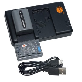 DSTE 2-Pack NP-FP50 NP FP50 Battery + Rapid Dual Battery Charger Compatible with Sony DCR-HC30 DCR-HC40 DCR-HC65 DCR-SR30 DCR-SR60E DCR-SR80E NP-FP30 NP-FP60 NP-FP70 NP-FP90 NP-FP51 NP-FP71 NP-FP91