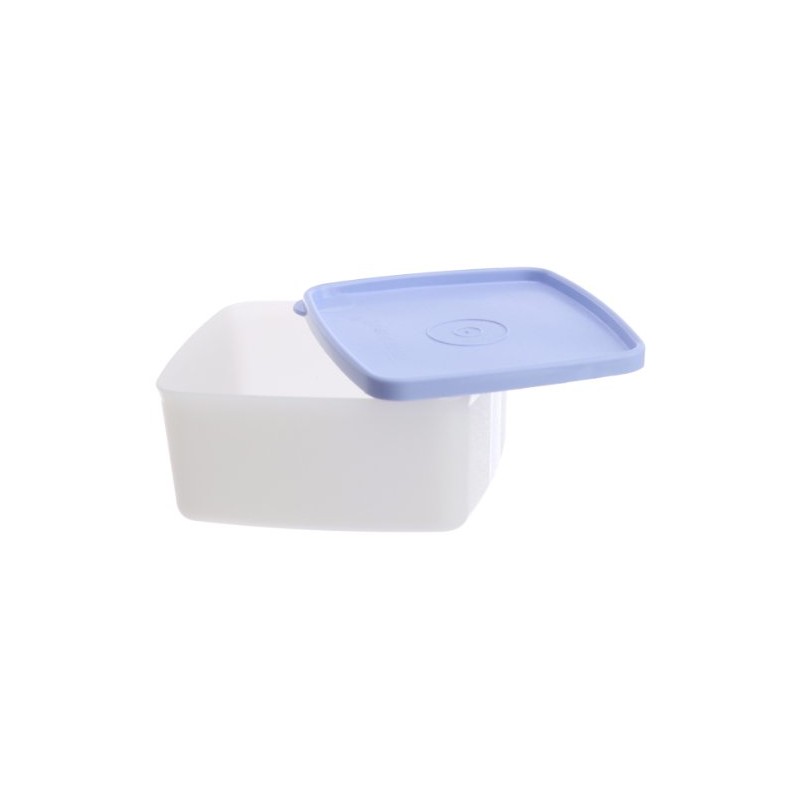 Tupperware Small Cool N Fresh Set, 450ml, Set of 2