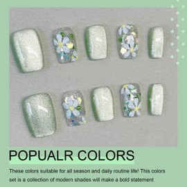 Arte Clavo 10ml Cat Eye Gel Nail Polish 1Pc Apple Green Gel Polish with Magnet Soak off Holographic Magnetic Nail Polish for Nail Art Manicure Salon DIY at Home 6006…