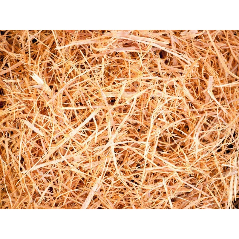 BabaFood Vilcacora Herbal Tea | Strengthening and Revitalising | Healthy,