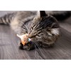 SmartyKat Chickadee Chirp Electronic Sound Cat Toy, Contains Catnip, Battery
