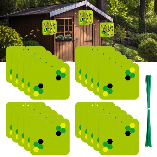 Qualirey 10 Pack Wasp Traps Outdoor Hanging, Carpenter Bee Traps