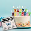 speecheese Please treat gently, 30th birthday pillow, birthday pillow for