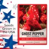 Ghost Pepper Seed Starter Kit - Grow Your Own Bhut