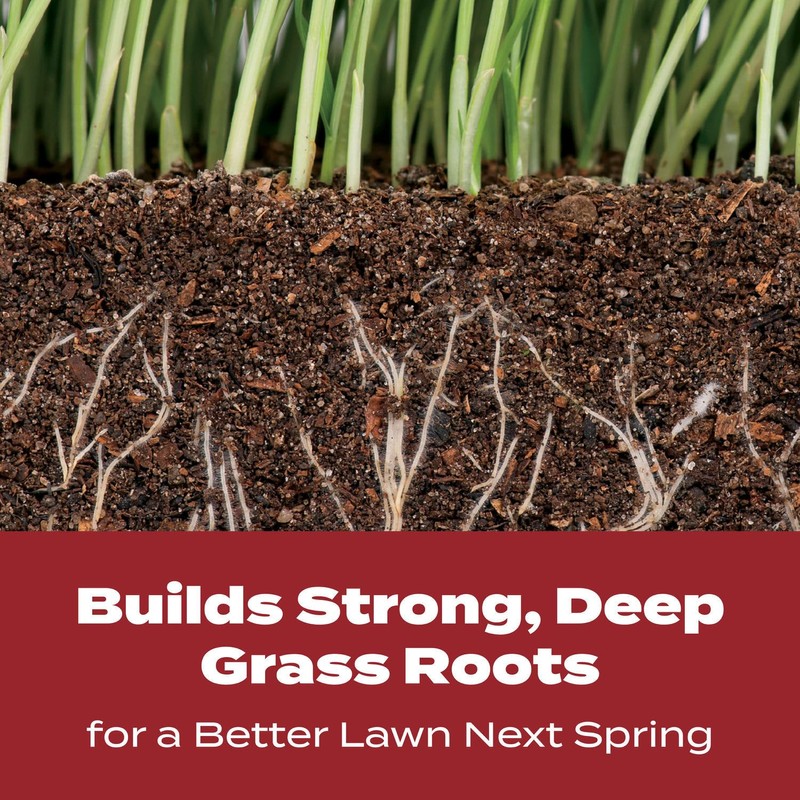 Scotts Turf Builder WinterGuard Fall Lawn Fertilizer for All Grass