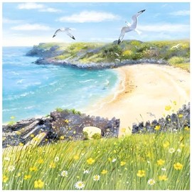 Birthday/Blank Greeting Card For Him/Her - Male/Female - General Card for Men/Women - Beach Cove and Seagulls - Artistic Design by by Lucy Grossmith - Made in the UK
