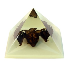 REALBUG DS904 Pyramid-Bat, Glow in Dark, 3 Inches