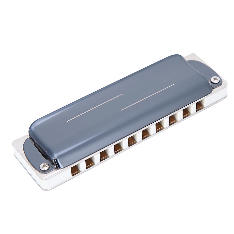 Blues Harp Harmonica 10‑Hole Professional Mouthorgan G Key Gifts Stainless