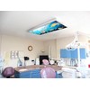 Fluorescent Light Cover for Classroom Ceiling Lights - Premium Backlit