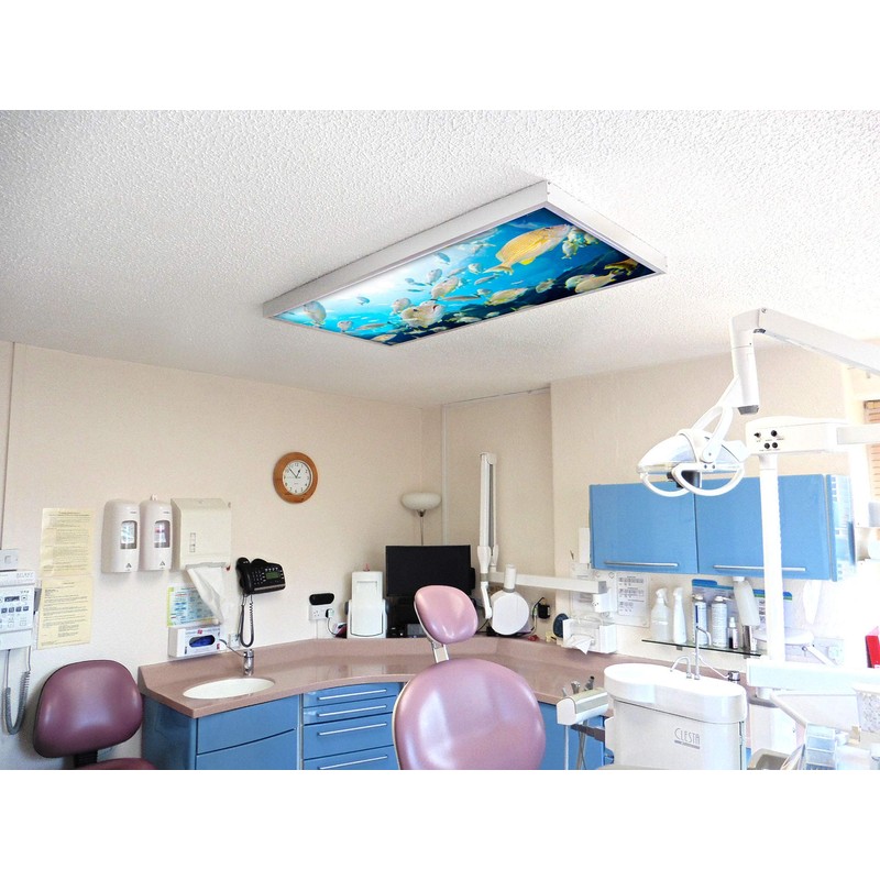 Fluorescent Light Cover for Classroom Ceiling Lights - Premium Backlit