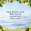 Softsoap Liquid Hand Soap, Fresh Breeze - 7.5 fluid Ounce