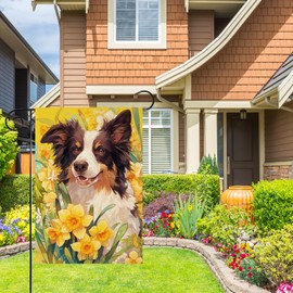 HILILIAN Border Collie Yellow Daffodil Spring Summer Garden Flag 12x18 Double Sided Vertical, Burlap Small Daffodil Floral Flower Garden Yard House Flags Outside Outdoor(849)