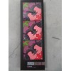 Images d'Orient eusamex Images d'Orient Coasters Set of 6 Silicone