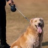 Heavy-Duty Retractable Dog Leash 16-Foot - Auto-Brake & 360° Tangle-Free