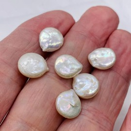 PremiumBead Top-Drilled Freshwater Coin Briolette Pearls |13x11x6 - 11x10.5x4mm| 6 Pearls |