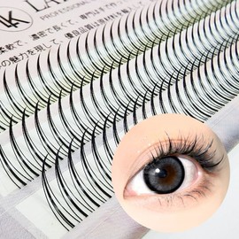 Sweeney A-type strand eyelash point part lash SD-221064 - Black / 스위니 A형 가닥 속눈썹 포인트 부분 래쉬 SD-221064 - 블랙