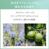 AYURA [Healing Gift] Bath Fee & Hand Cream Set [Meditation